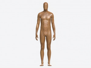 Male Full Body Mannequin Wooden Modelo 3D