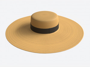 Wide Brim Straw Hat for Women 3Dモデル
