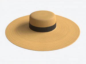 Wide Brim Straw Hat for Women 3D Model