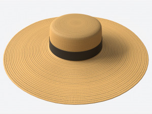 Wide Brim Straw Hat for Women 3D Модель