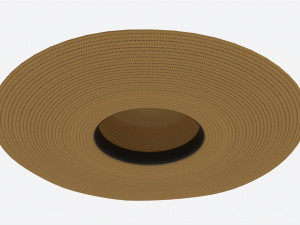 Wide Brim Straw Hat for Women 3D Модель