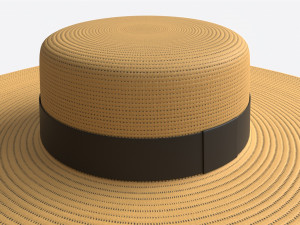 Wide Brim Straw Hat for Women 3D Модель