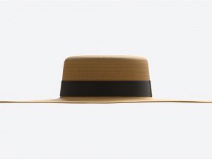 Wide Brim Straw Hat for Women 3D Модель