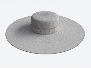 Wide Brim Straw Hat for Women 3D Модель