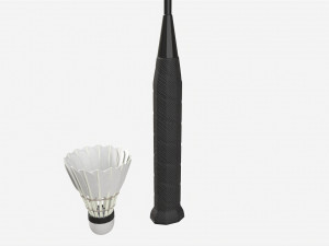Badminton Racquets with Shuttlecock 3D 모델