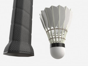 Badminton Racquets with Shuttlecock 3D 모델