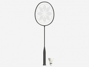 Badminton Racquets with Shuttlecock 3D 모델
