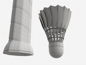 Badminton Racquets with Shuttlecock 3D 모델