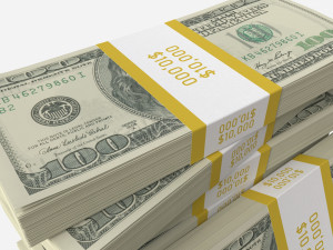American dollar bundles medium set 3D Model