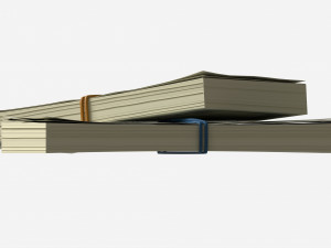 American dollar bundles tied with rubbers Model 3D