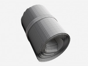 American dollars roll tied with rubbers 3D Model