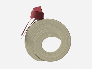 American dollars rolled and tied Modello 3D