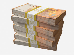 Euro banknote bundles medium set 3D-Modell