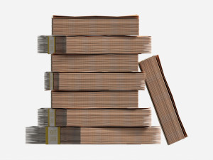 Euro banknote bundles medium set 3D-Modell