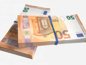 Euro banknote bundles tied with rubbers 3D Model