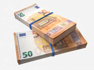 Euro banknote bundles tied with rubbers 3D Model