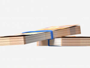 Euro banknote bundles tied with rubbers 3D Model