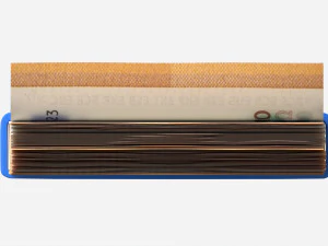 Euro banknote stack tied with rubber 3D Model