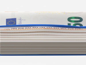 Euro banknotes folded and tied 01 3D Model