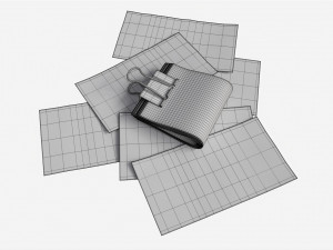 Euro banknotes folded with clip 02 3D Model