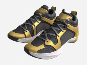 Low Basketball Shoes 3D Model