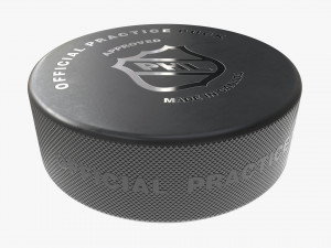 Ice Hockey Puck Modelo 3D