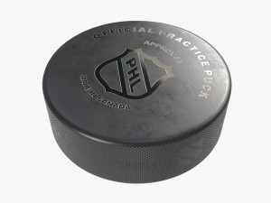 Ice Hockey Puck 3D Model