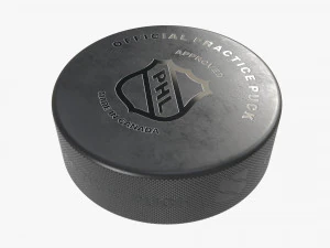 Ice Hockey Puck 3D Model