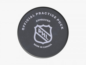 Ice Hockey Puck 3D Model