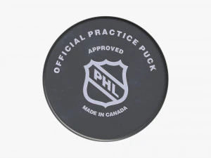 Ice Hockey Puck 3D Model