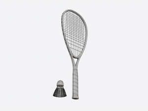 Speedminton Racquet with Shuttlecock Modelo 3D