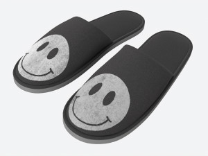 Foam Padded Home Slippers 3D Модель
