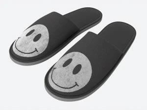 Foam Padded Home Slippers 3D Model