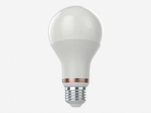 Led Bulb Smart Type A67 Modelo 3D