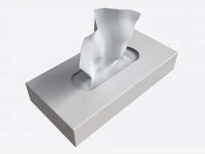 Tissue Box Rectangular Mockup 3D Model