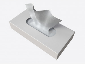 Tissue Box Rectangular Mockup Modèle 3D