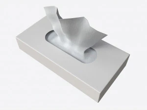 Tissue Box Rectangular Mockup 3D Model