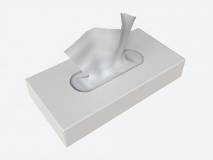 Tissue Box Rectangular Mockup Modèle 3D