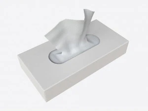 Tissue Box Rectangular Mockup 3D Model
