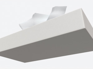 Tissue Box Rectangular Mockup Modèle 3D