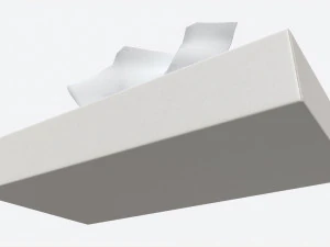 Tissue Box Rectangular Mockup 3D Model