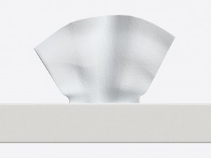 Tissue Box Rectangular Mockup Modèle 3D