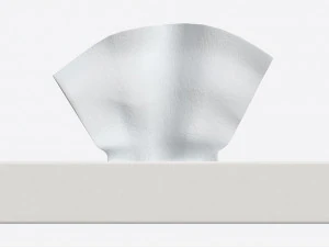 Tissue Box Rectangular Mockup 3D Model