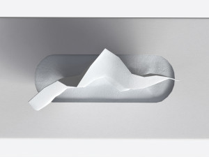 Tissue Box Rectangular Mockup Modèle 3D