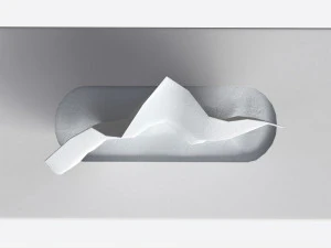 Tissue Box Rectangular Mockup 3D Model