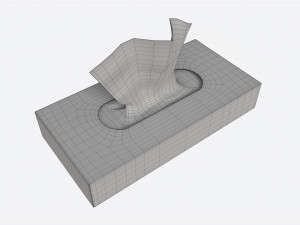 Tissue Box Rectangular Mockup Modèle 3D