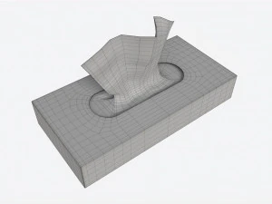 Tissue Box Rectangular Mockup 3D Model