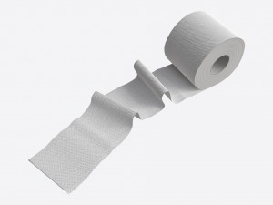 Toilet Paper Roll with Unrolled Part Modelo 3D