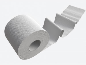 Toilet Paper Roll with Unrolled Part Modèle 3D