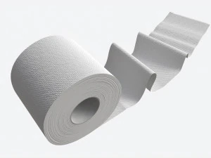 卫生纸卷（带展开部分） 3D 模型